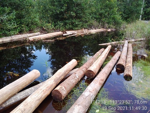 Bag 2 - Image 1