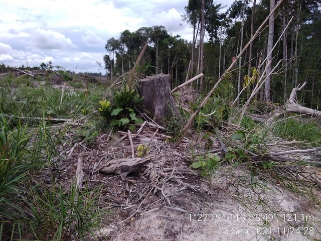 Bag 3 - Image 3